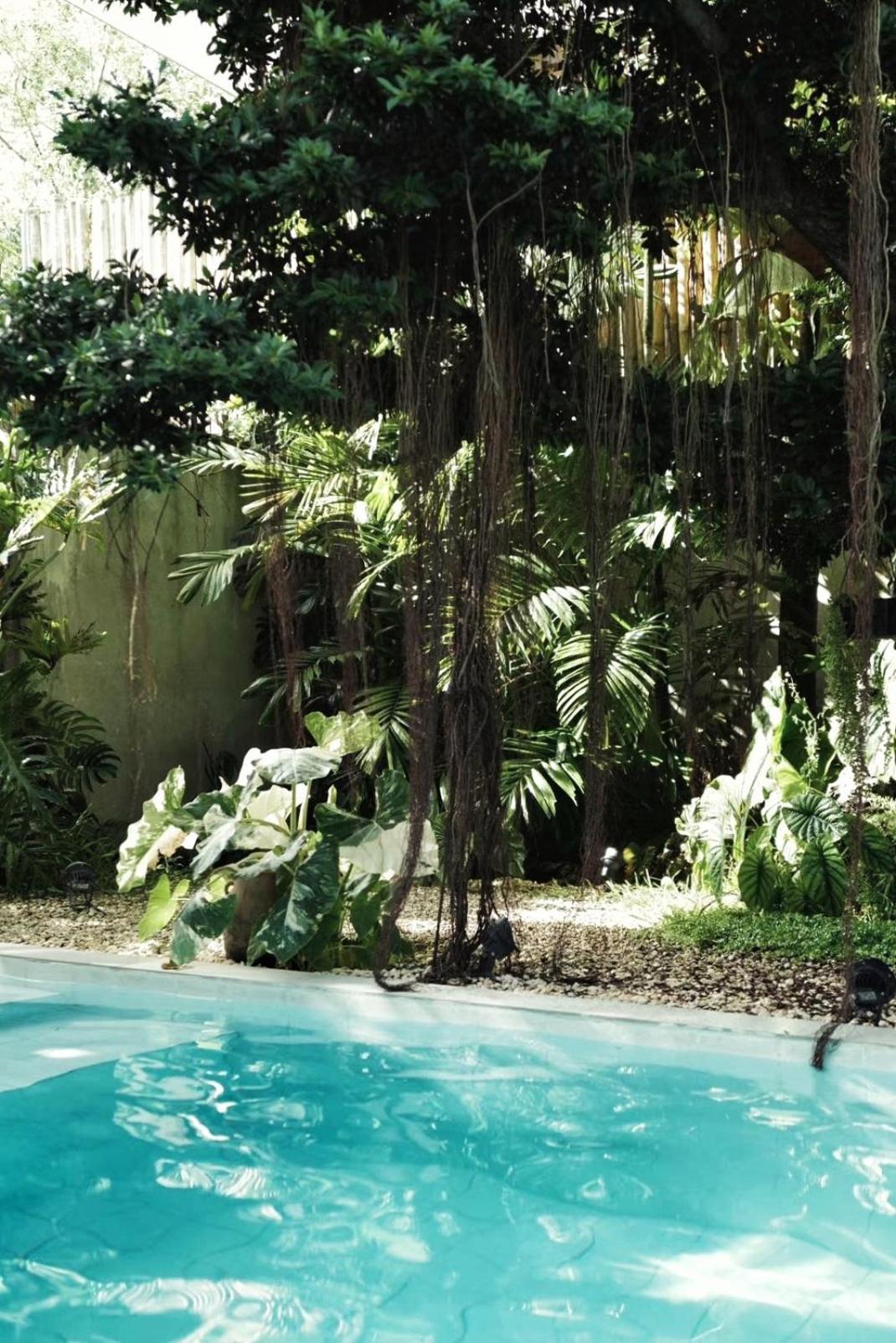 Banyan Villa Panglao With Private Pool Eksteriør bilde
